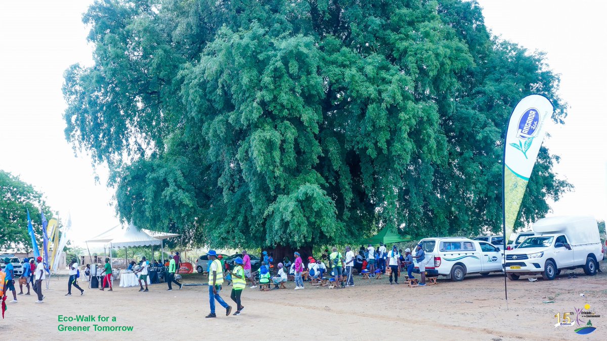 As we get closer to the end of the year for another special edition of the FOTE Walkathon, here is a throw back of our Main Walkathon day 2 from Mutare to Chipinge.
#PlantATreeToday
#EcosystemRestoration
#BuildingCommunitiesTogether
<a href="/tanganda_tea/">Tanganda</a> 
<a href="/InnscorAfrica/">Innscor Africa Ltd</a> 
<a href="/Nyaradzo_Group/">Nyaradzo Group</a>