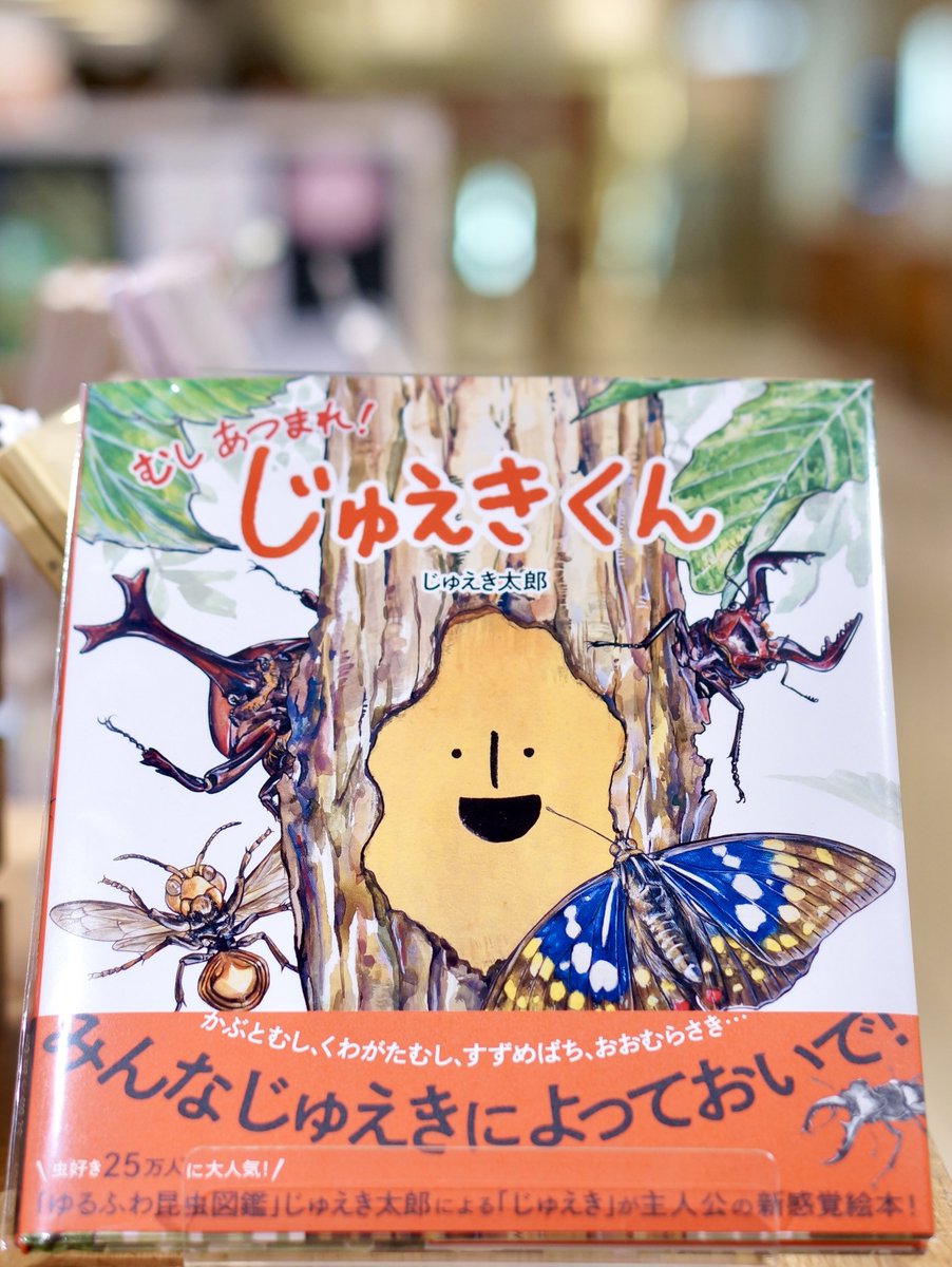 PW_tachikawa's tweet image. 『#じゅえきくん むしあつまれ!』 #じゅえき太郎 #Gakken
雑木林にいるじゅえきくん。やさしいんです!とっても可愛くて、じゅえき太郎さんの描く昆虫の世界がたっぷりと楽しめます。これからの季節に楽しんでくださいね📕
#エキュート立川
#一日一冊のえほん