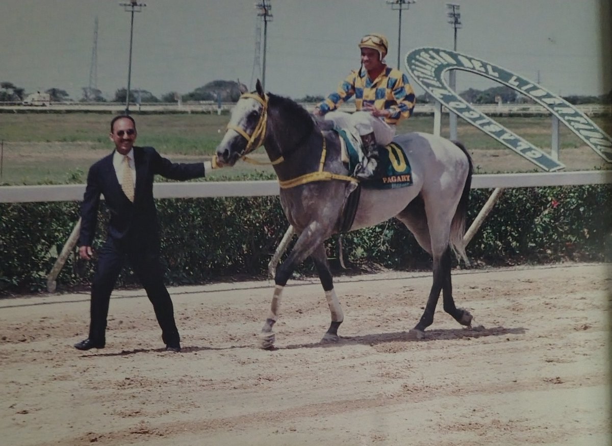 Hace 25 años, el 2 veces Caballo del Año, PAGARY se despidió triunfando en el Clásico Natalicio del Libertador, con Emisael Jaramillo y Germán Rojas como liderando un equipo excelente! Inolvidable esa última vez que le llevamos al círculo de ganadores!