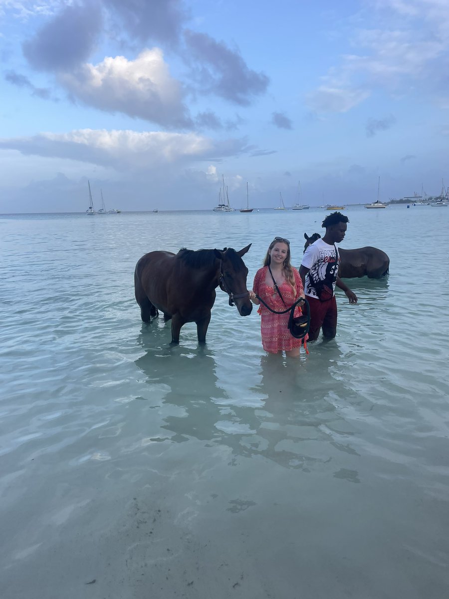 DAOSPEDept's tweet image. Some of the pupils made the early get up this morning at 5:30am to walk to see the local race horses being bathed in the sea! A once in a lifetime experience at pebble beach!🏖️ 🐎