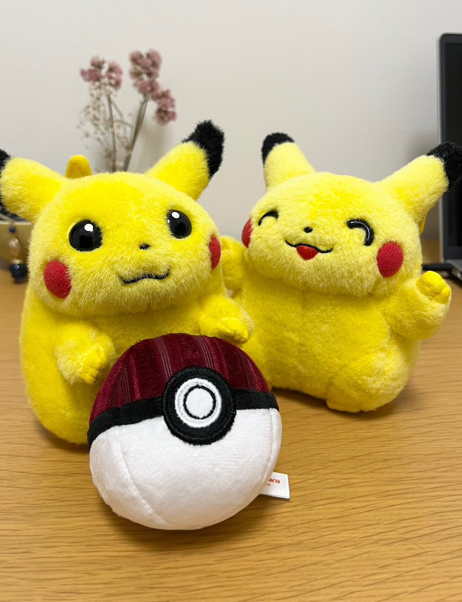 oshaberipikachu's tweet image. ぴまは頼めばボール入ってくれそうだけどぴりは入んないだろうな