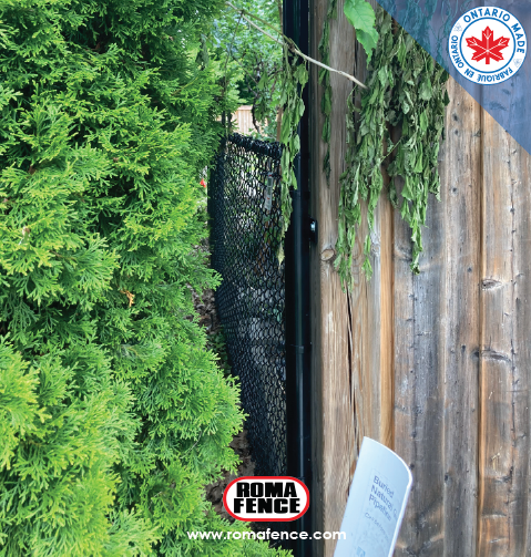 Enhance your property's charm while enjoying visibility and breathability—perfect for gardens or yards! 🌳  #chainlinkfence #residentialfence