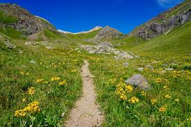 strattonbooks's tweet image. Good Morning from Colorado! What a great day to be 6 ⬆️ versus ⬇️. Helping the daughter of my late friend & mentor with her resume & potential threads to pull for her next career move. Feeling grateful & blessed. Drink water, touch grass, train, & be good👊