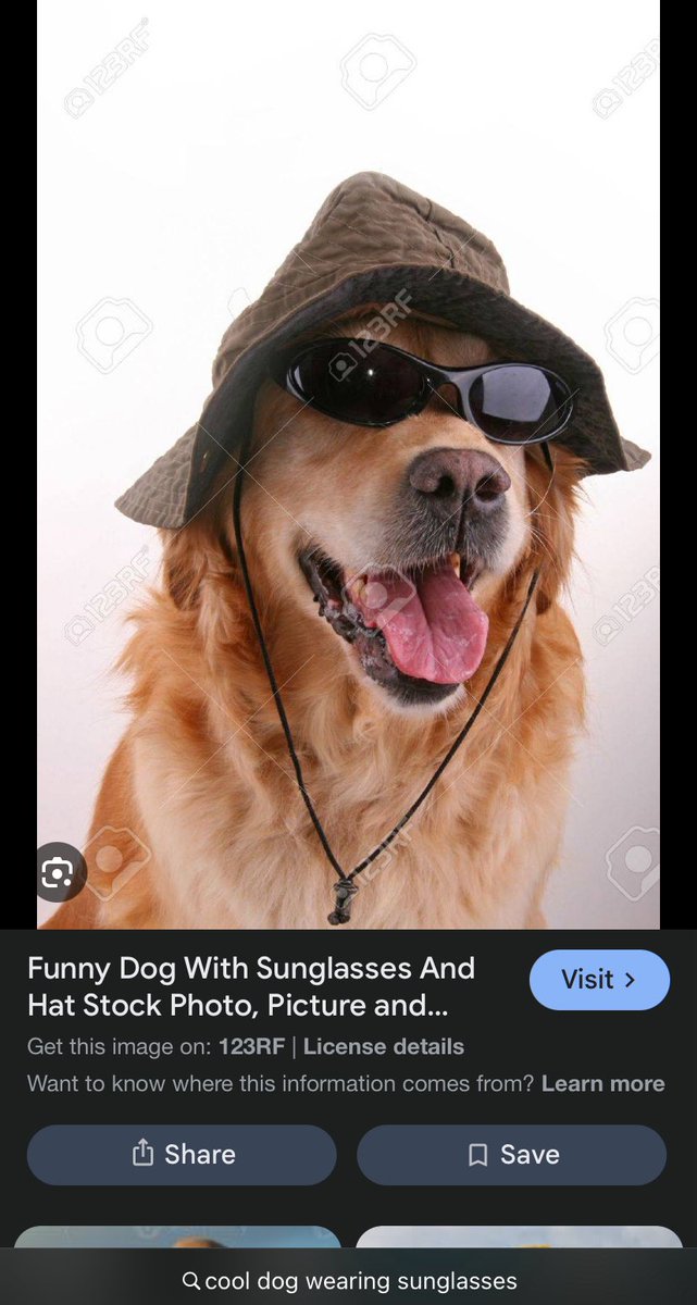 sillysesameseed's tweet image. How it feels