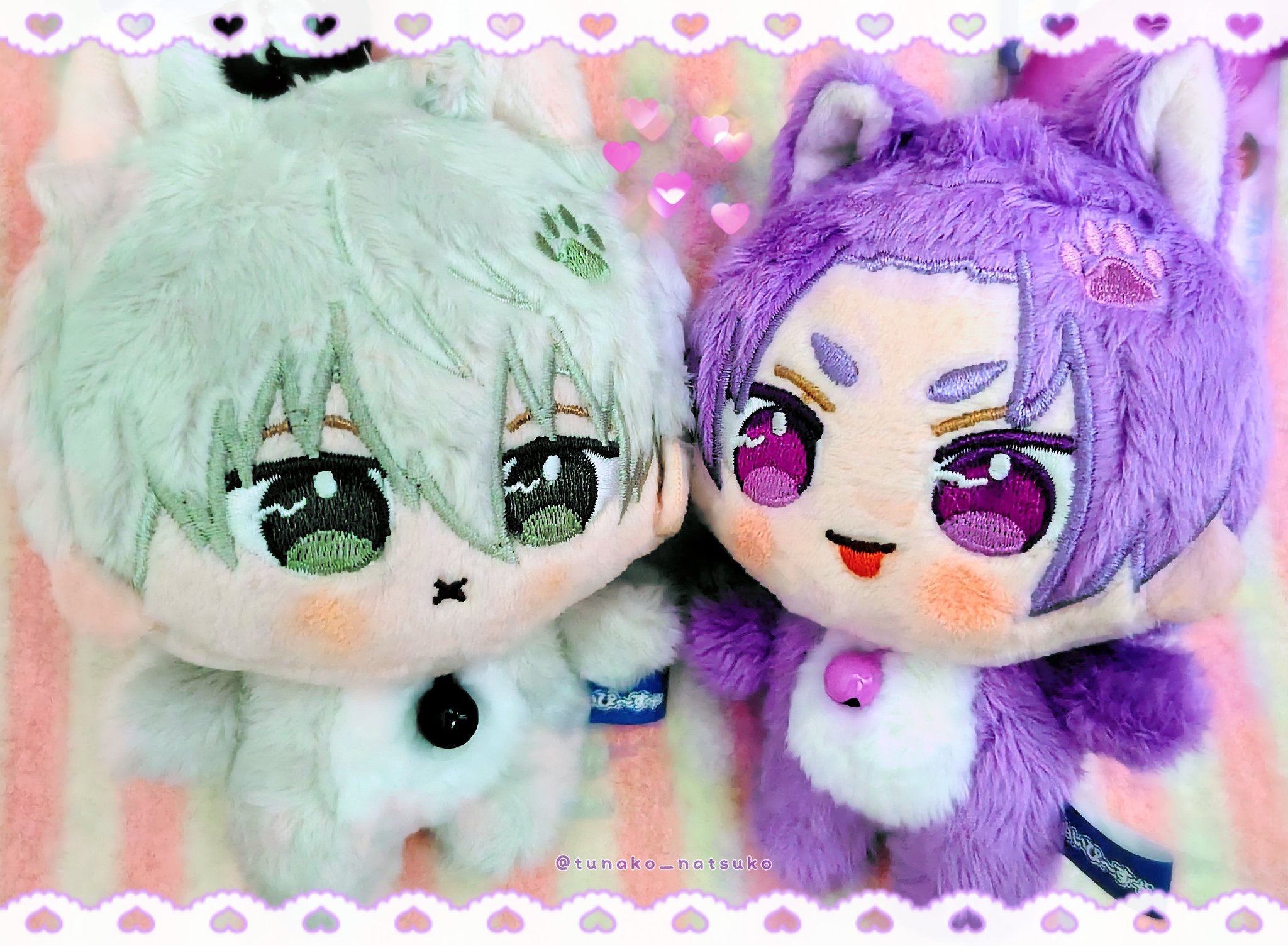 かちょぱ㌨✿様御予約❤️オッドアイの双子ちゃん♡ミニミニ子猫ちゃん♡エキゾ♡ トモつな🍶 on X: 