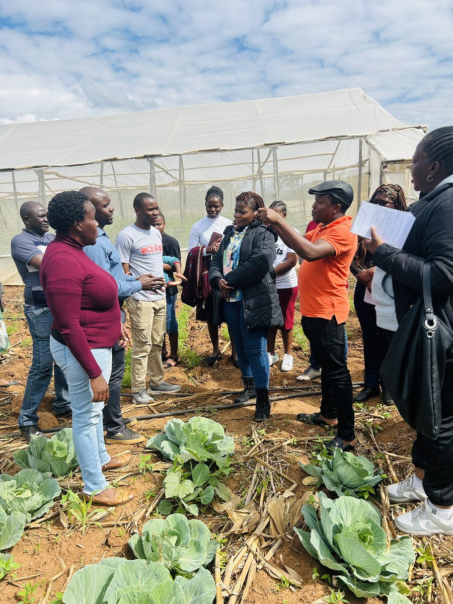 Green Governance Trust (@greengovzw1) on Twitter photo It was our pleasure hosting the <a href="/ActionAidZim/">ActionAid Zimbabwe</a> and SPAII consortium partners at our Mwaka Hub in Chimanimani today. Youths showcased the #cleanenergy, #agroecology and #sustainable environment mgt practices derived from the hub. <a href="/fpc_online/">Fambidzanai Permaculture Centre ZWE</a> <a href="/Basilwizi1/">Basilwizi</a> <a href="/activista_zim/">Activista Zimbabwe</a> #safespaces It was our pleasure hosting the <a href="/ActionAidZim/">ActionAid Zimbabwe</a> and SPAII consortium partners at our Mwaka Hub in Chimanimani today. Youths showcased the #cleanenergy, #agroecology and #sustainable environment mgt practices derived from the hub. <a href="/fpc_online/">Fambidzanai Permaculture Centre ZWE</a> <a href="/Basilwizi1/">Basilwizi</a> <a href="/activista_zim/">Activista Zimbabwe</a> #safespaces