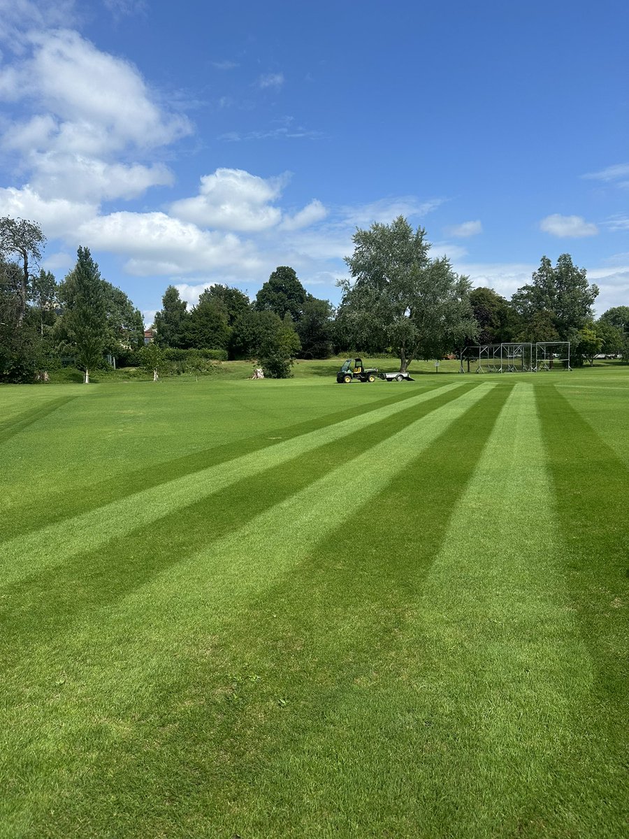 Callum Hall tweet media