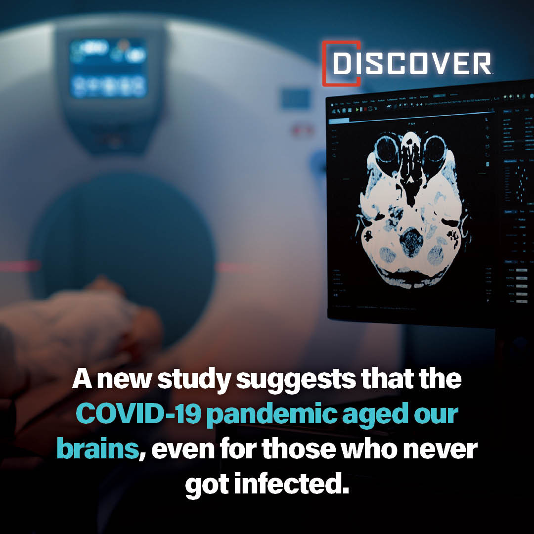 DiscoverMag's tweet image. 