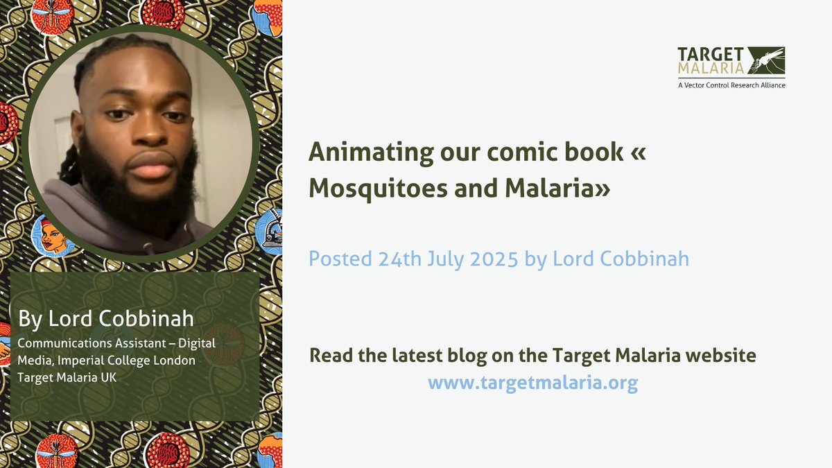 TargetMalaria's tweet image. This summer, our intern Lord Cobbinah from @10000BI is transforming Target Malaria's "Mosquitoes and Malaria" comic book into a vibrant animated story.
Get a sneak peek at some visuals and learn more about the creative process behind the project here: targetmalaria.org/latest/blog/an……
