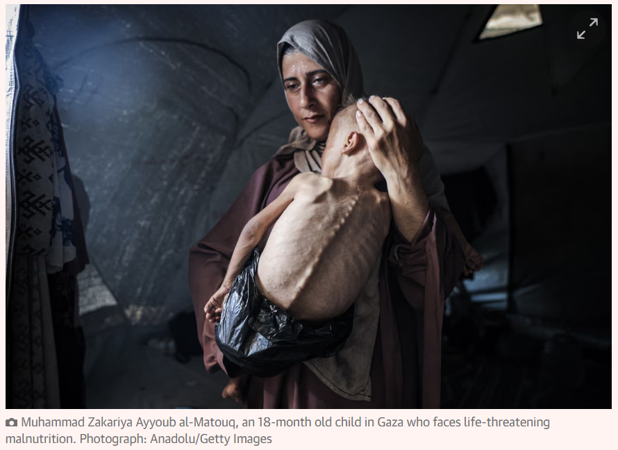 crismigo's tweet image. “Obviously, to intentionally starve people to death is genocidal ... Starvation is the means and starvation is the end ... If this system remains in place during any upcoming ceasefire ... the genocide might continue during a ceasefire.”
theguardian.com/world/2025/jul…