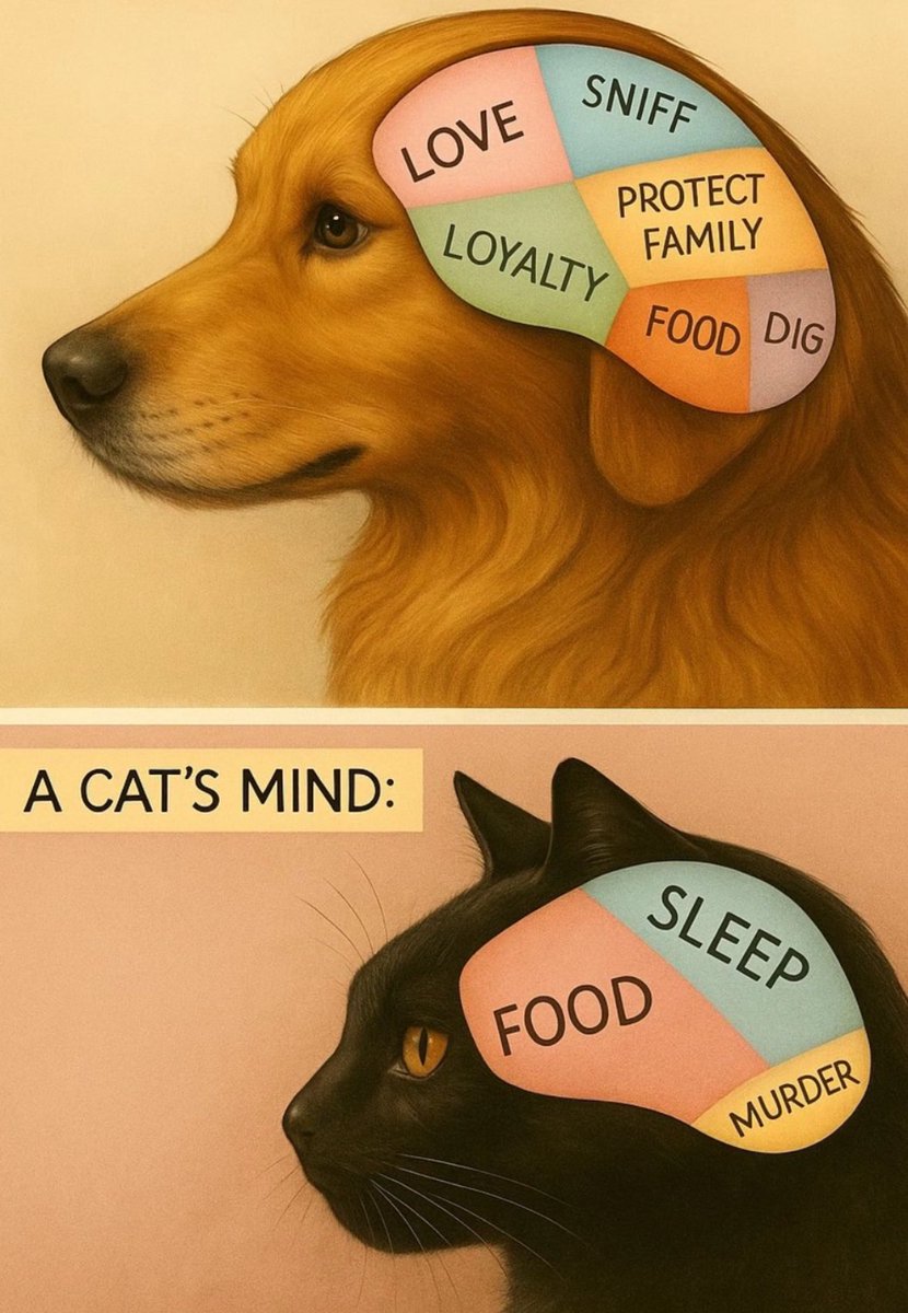 So true.. https://t.co/La5oSD0DB4