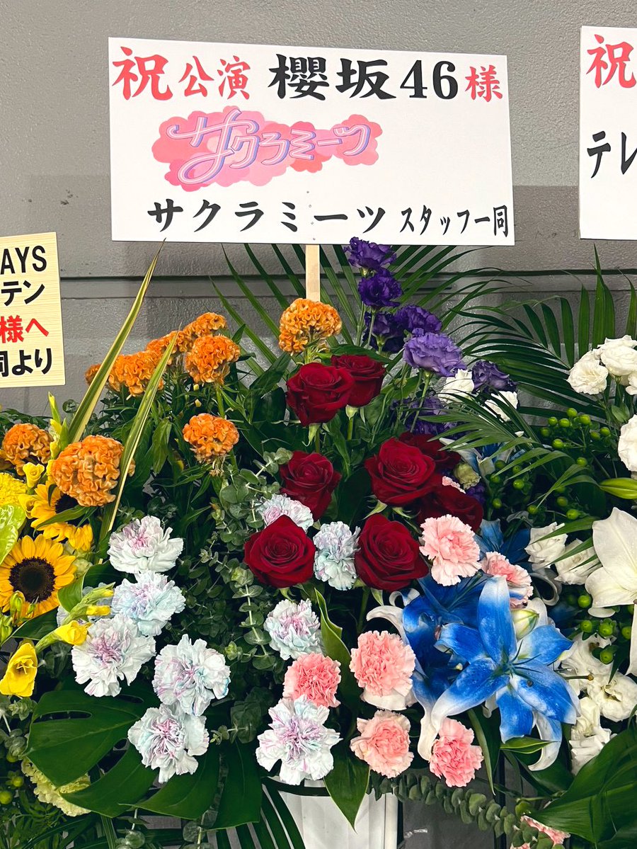 sakura__meets's tweet image. //
#櫻坂46_5thTOUR に
#サクラミーツ からお花を
贈らせていただきました💐✨
\\
本当に本当に…
最高の東京ドーム公演でしたね😭🔥👏
寝る前はぜひ #追いミーツ して下さい🌟
TVer
▷tver.jp/episodes/epsex…
ABEMA
▷abema.tv/video/title/87…
公開収録受付中🎫
▷tv-asahi.co.jp/summerstation/…