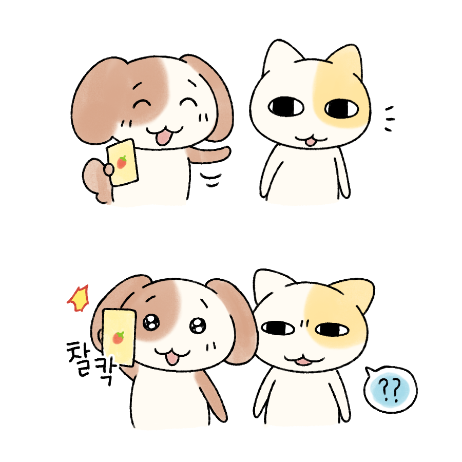 묘냥이와 멍구 tweet media