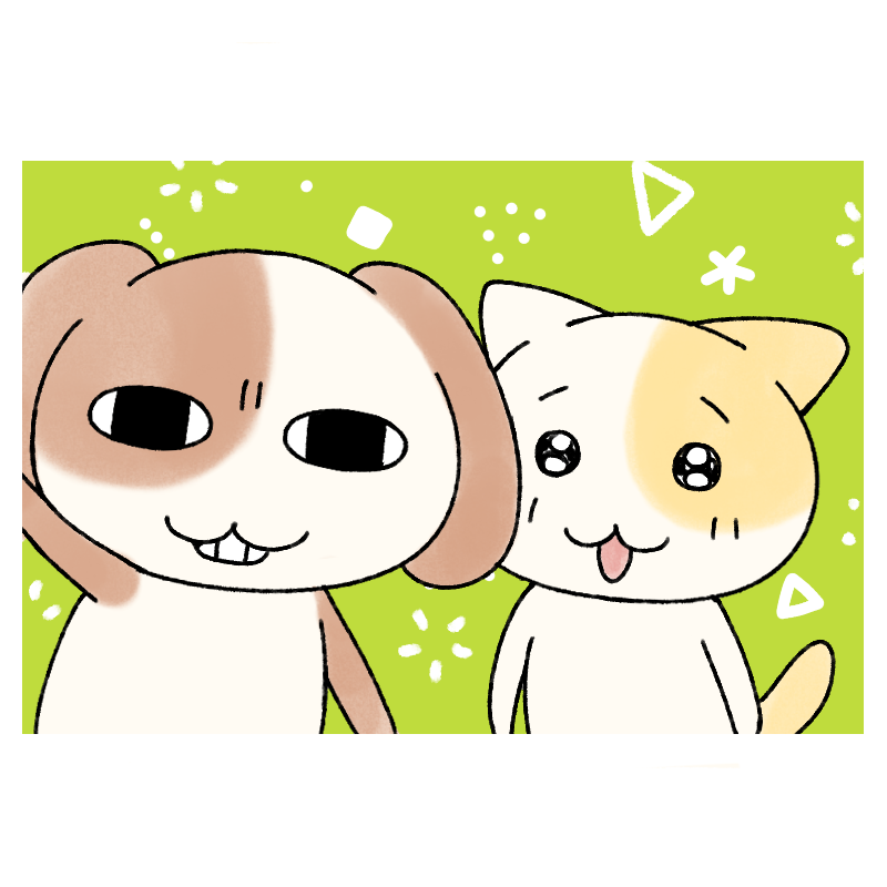 묘냥이와 멍구 tweet media