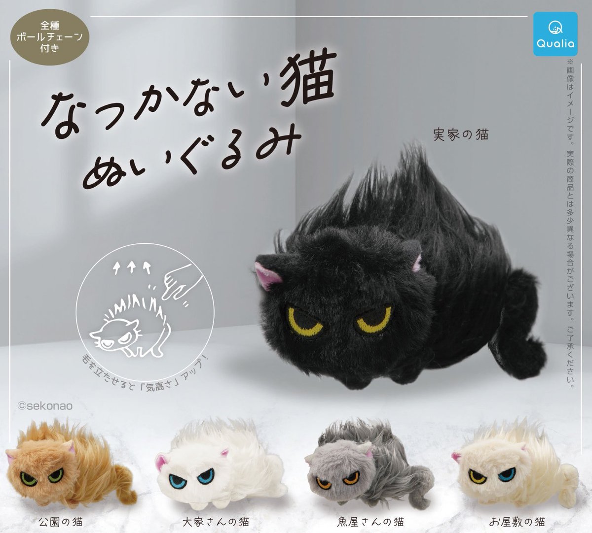 이거 재판기념으로 RT해주신 분 중 추첨으로 2분께 랜덤 한마리씩 보내드립니다~

❤️🧡💛💚💙💜🤎🖤🤍
[2025년 12월 입고예정] 
길들여지지 않는 고양이 누이구루미 키홀더
▶wooyu-store.shop/product/2025%E…
🗓️~8월6일까지 예약