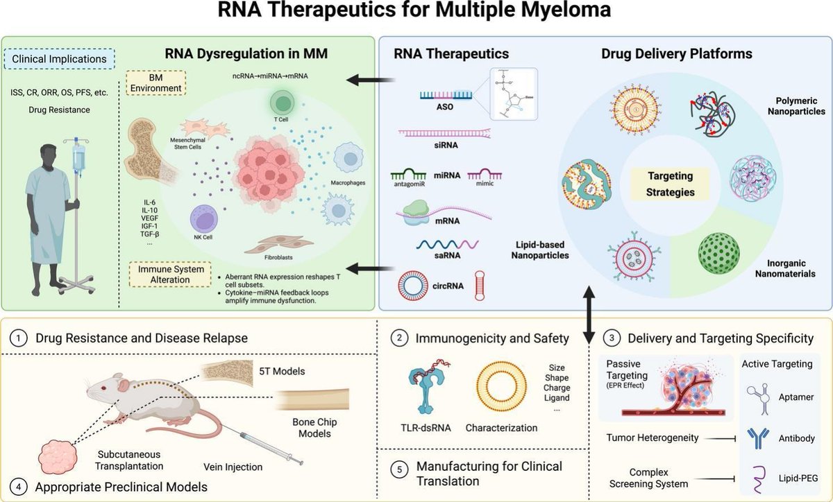 JCRnEDITORS's tweet image. Advances in RNA therapeutics and its delivery strategies against multiple myeloma.
| Kenneth C. Anderson @harvardmed |
[50 days&apos; free access]
#RNAdelivery #myeloma
kwnsfk27.r.eu-west-1.awstrack.me/L0/https:%2F%2…