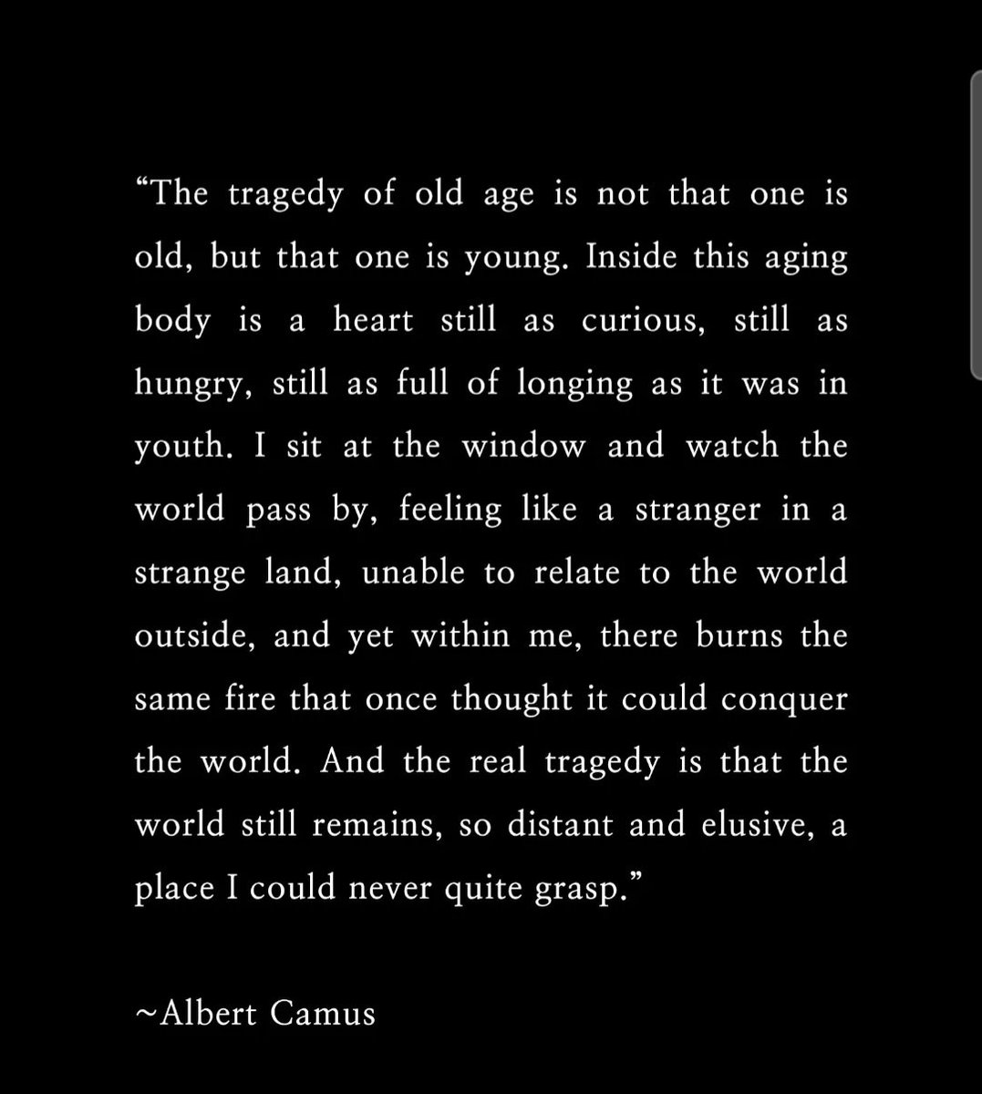 The Unconvinced American (@williamsnietzs3) on Twitter photo 