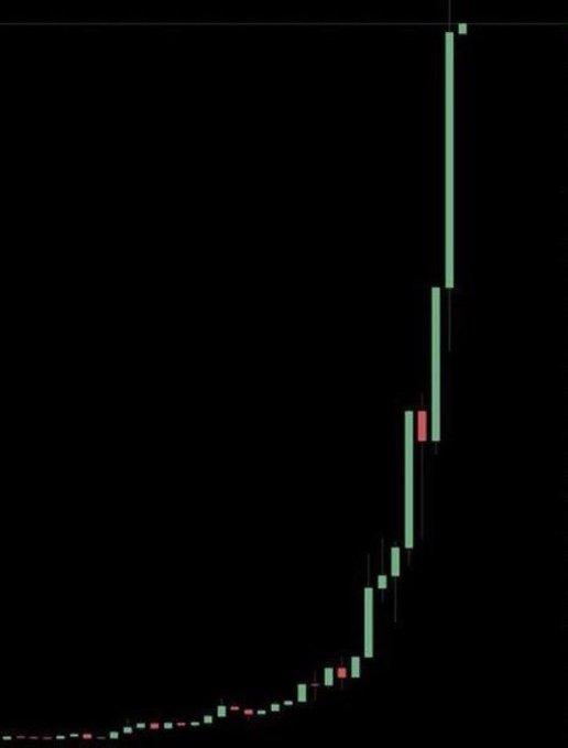 🚨BSC Gems Alert🚨 tweet media