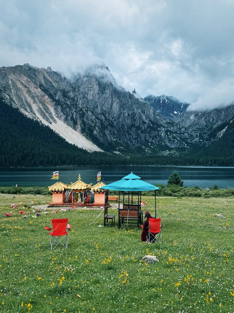 MocaCN | ⦿⦿⦿ tweet media