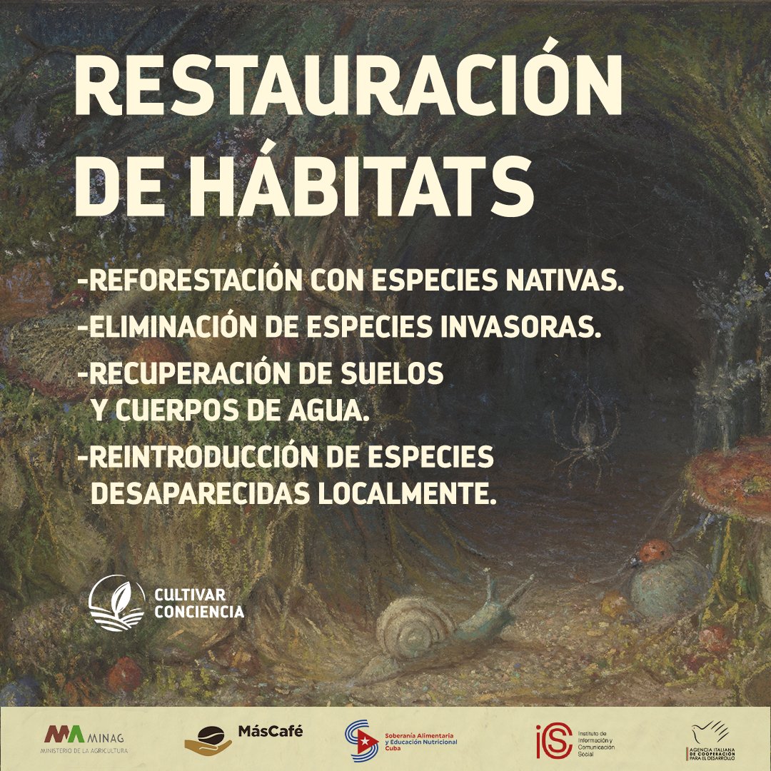 Los hábitats naturales son esenciales para el equilibrio de los ecosistemas. Proporcionan refugio, alimento y condiciones adecuadas para la reproducción de diversas formas de vida. 
🔸¿Qué acciones implementar para su restauración? 🌱🏞️🌳

#Cuba  #CultivarConciencia