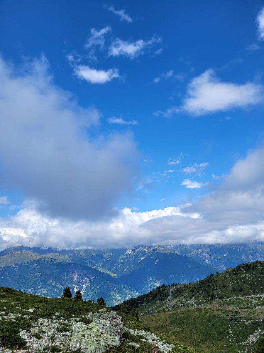 Rodolphe Ryo tweet media