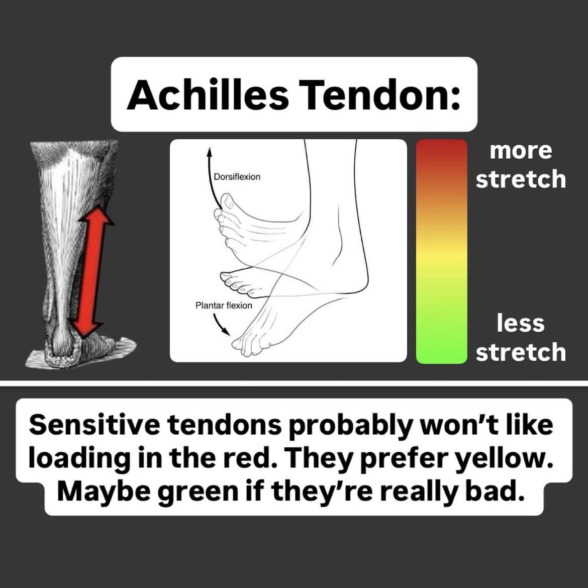 More stretch = more potential for aggravation, but also adaptation.

Meet the person where they are.