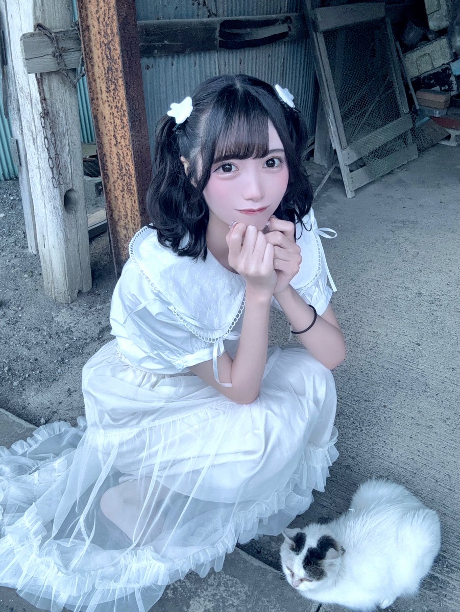 よぞにゃん^ ܸ.  ̫ .ܸ ^