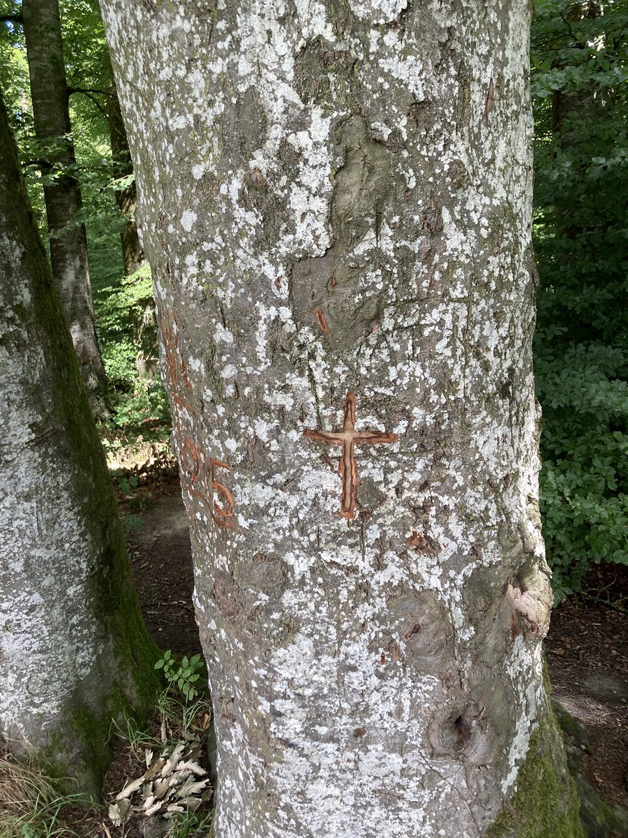 valabg's tweet image. Velotour.
In die Rinde geritzt. Vorgefunden beim Försterstein.
Eines der Kreuze hat einen Haken, oder?
Ich finde ja Natur ja am besten einigermassen natürlich. Möglichst ohne religiöse und andere ideologische Markierungen.