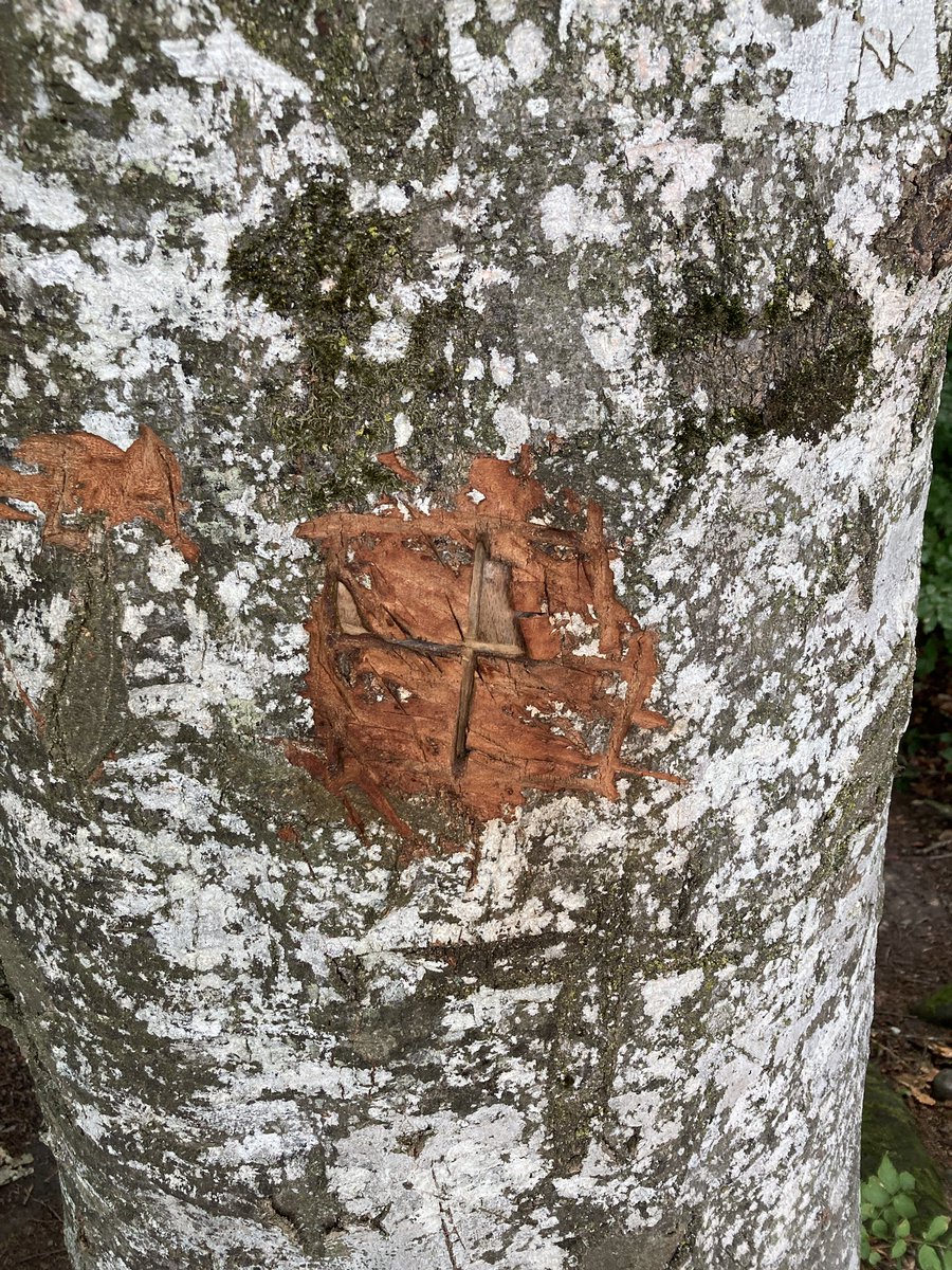 valabg's tweet image. Velotour.
In die Rinde geritzt. Vorgefunden beim Försterstein.
Eines der Kreuze hat einen Haken, oder?
Ich finde ja Natur ja am besten einigermassen natürlich. Möglichst ohne religiöse und andere ideologische Markierungen.