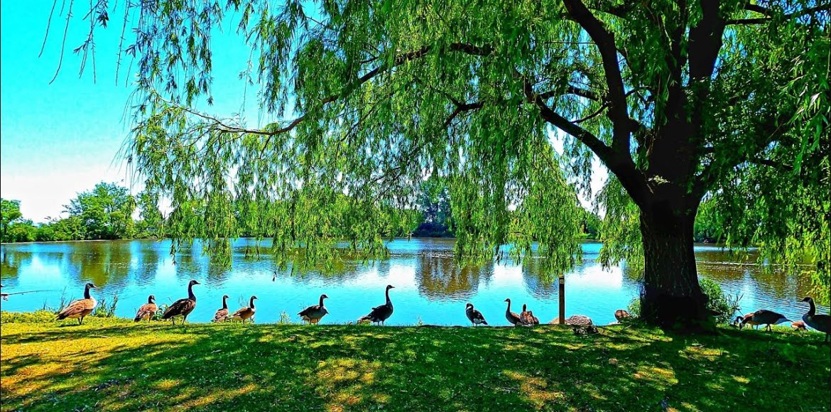 louisedbegin's tweet image. ๐ goooooooodest morning to youz X fam!
Happy Thursdaze ! ๐
Itโs hot and sticky here in the big city, and my country roots are feeling the heat! ๐ฅต
Guess thatโs what AC is forโdefinitely not used to relying on indoor cooling to survive! Up north, itโs a chill 13ยฐ, and hereโฆ