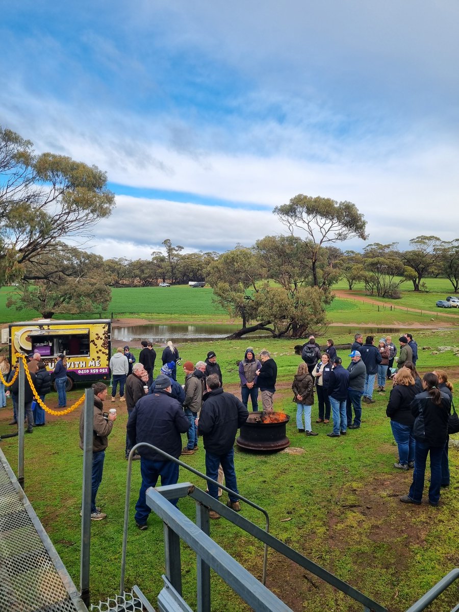 WALRC1's tweet image. 80+ people joined us today at Livestock Matters Walebing for a fantastic day of learning, sharing &amp;amp; connection. Big thanks to everyone who attended, asked questions &amp;amp; contributed to such a vibrant and valuable forum. We’re doing it all again tomorrow in Gingin. See you there!