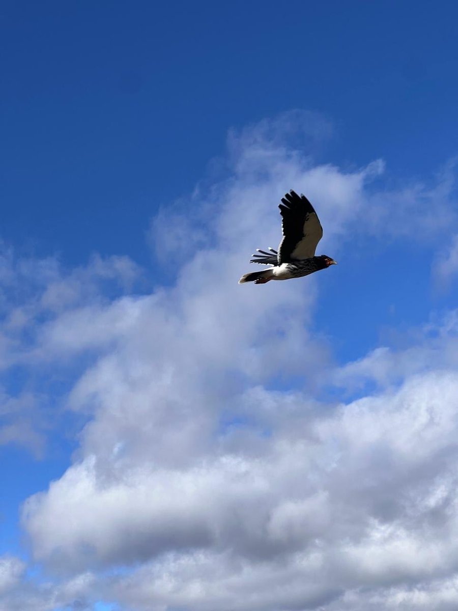 LorenaMHurtado's tweet image. "Siéntate y has un inventario de tu vida. Hay cosas a las que te has aferrado que realmente no son útiles y que te privan de tu libertad. Encuentra el coraje para dejarlas ir."
Thich Nhat Hanh