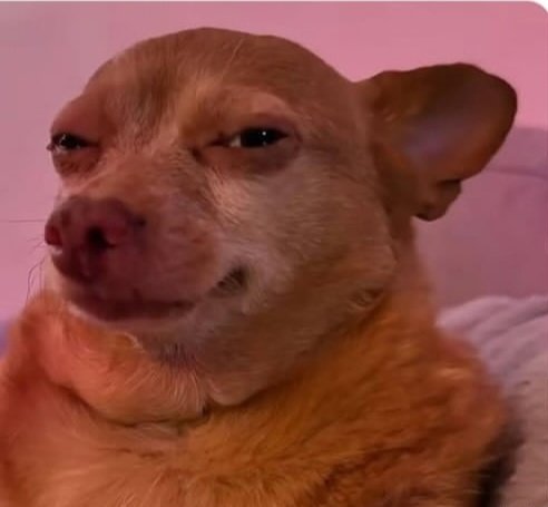 Imma 🦍 tweet media