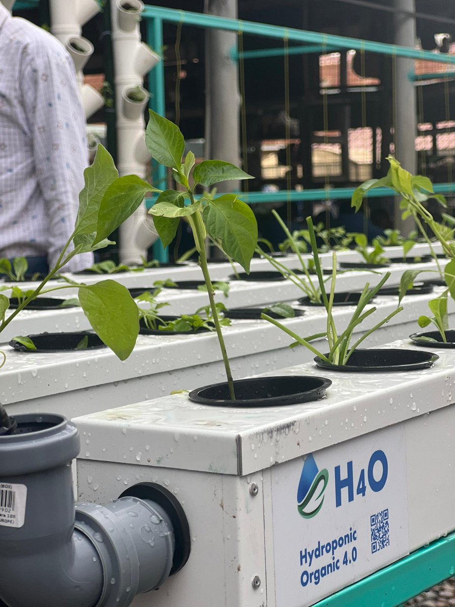 Katumwesigye Ashley tweet media