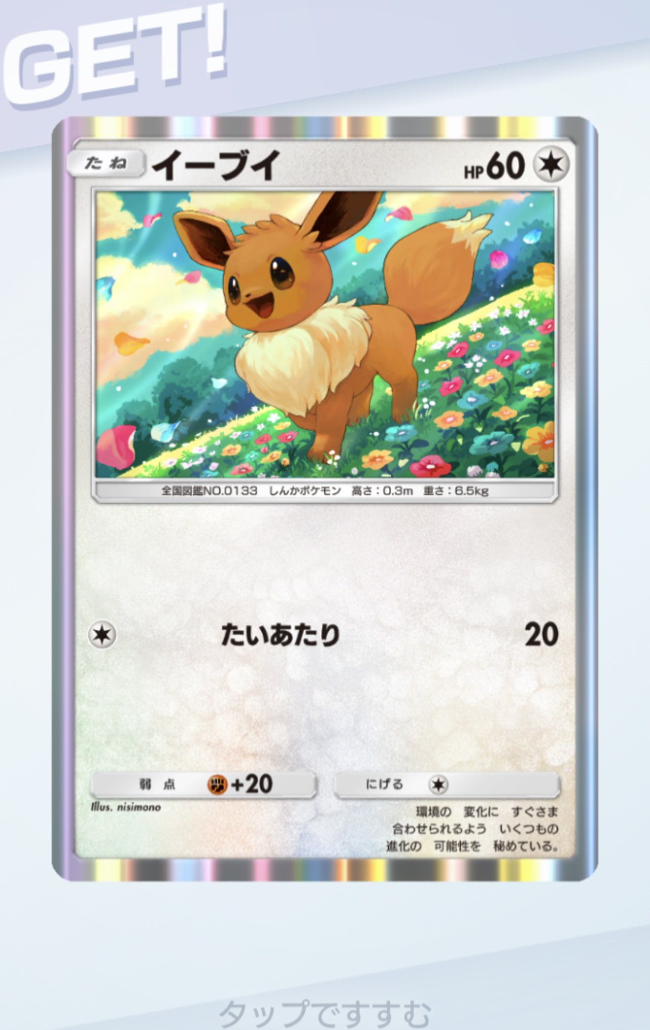ポケモン - ポンチョを着たイーブイ（サンダーvr）⭐︎