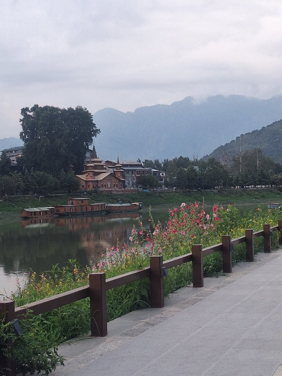 There's beauty in mundane.