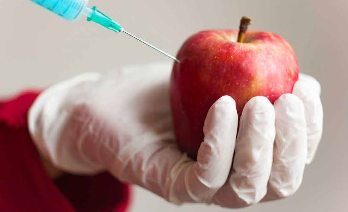 dietbloom's tweet image. GMO is trending again.
But how about we skip the emotions and focus on what really matters?
What’s the future of food in Nigeria?
What does this mean for your health?
What exactly is GMO, and has it come to stay?
We’ll break it all down in this thread, so stick with us. 🧵