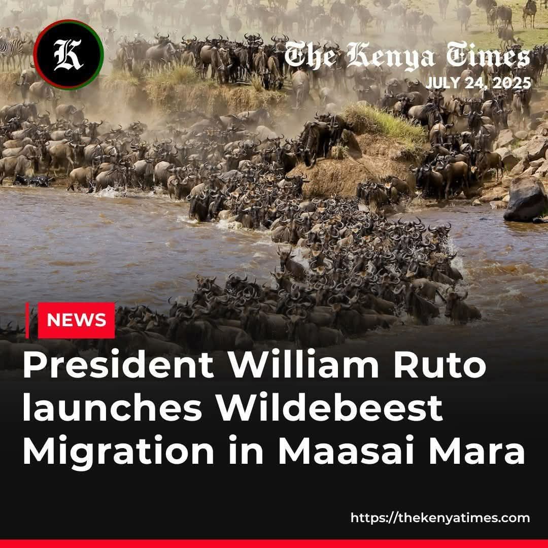 What rubbish is this?? Media should get their headlines correct. This is a government sponsored crocodile empowerment programme