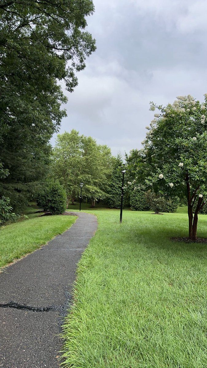 Dc summer