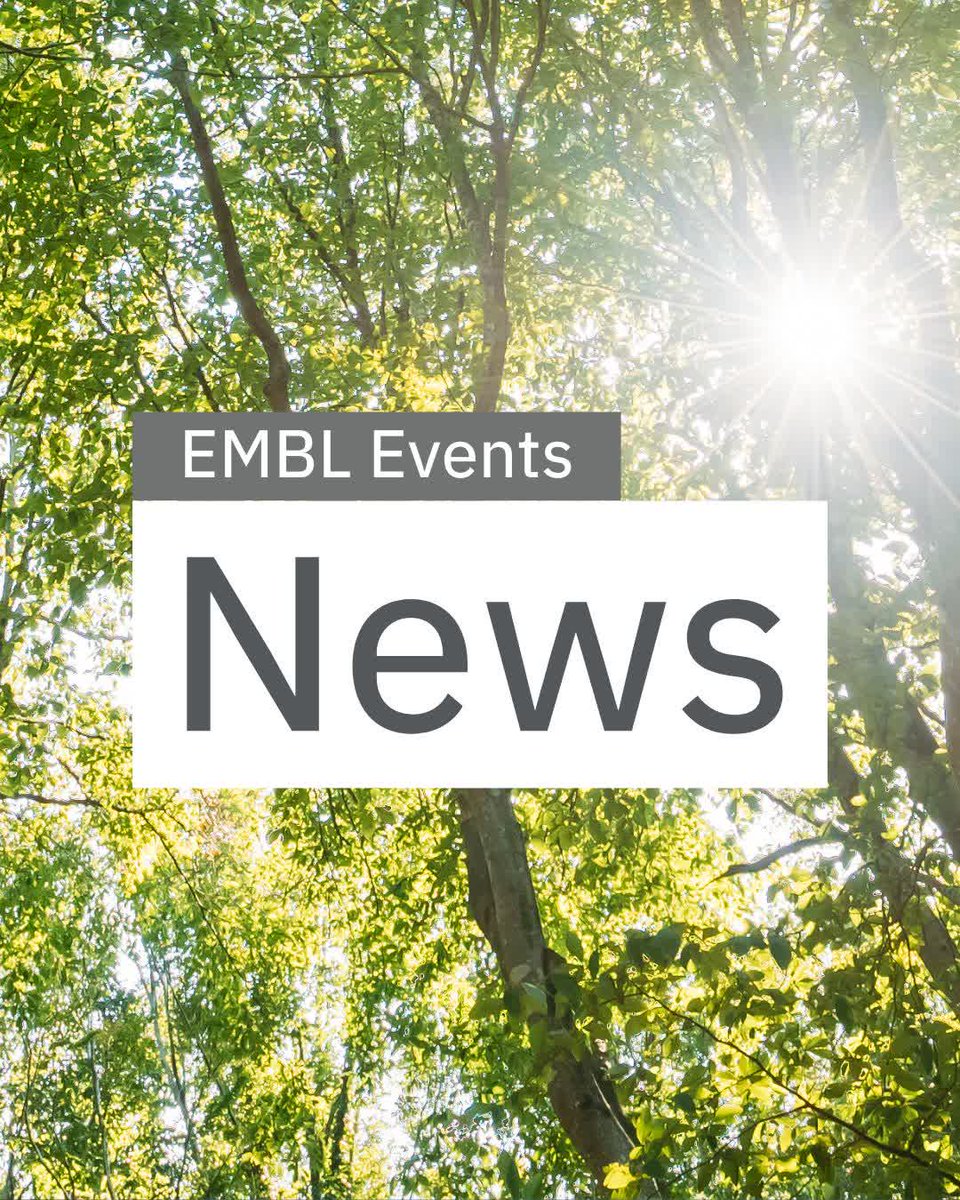 EMBLEvents's tweet image. 🚀 Want the latest scoop on all things EMBL Events delivered straight to your inbox? Subscribe to our quarterly newsletter and stay ahead of the curve with upcoming events, deadlines, and insider updates!
📬 Our latest issue featured the brand-new EMBL 2026 Annual Poster.…