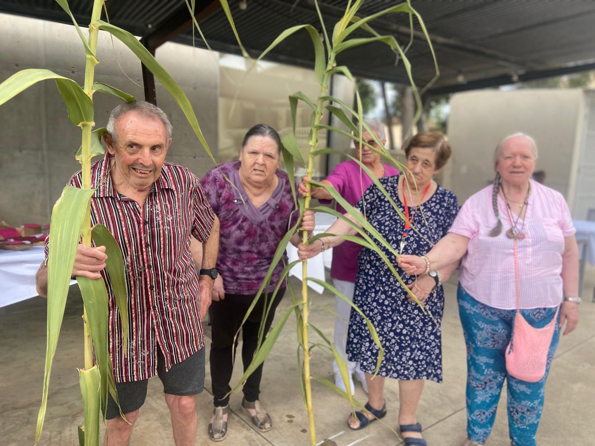 imasmallorca's tweet image. ✨ A la Residència Huialfàs de #saPobla, cuidar també és mantenir les tradicions vives.

🎉 Celebram #SantJaume amb una cursa de joies, gelat per tothom i molta complicitat entre residents, famílies i professionals.
