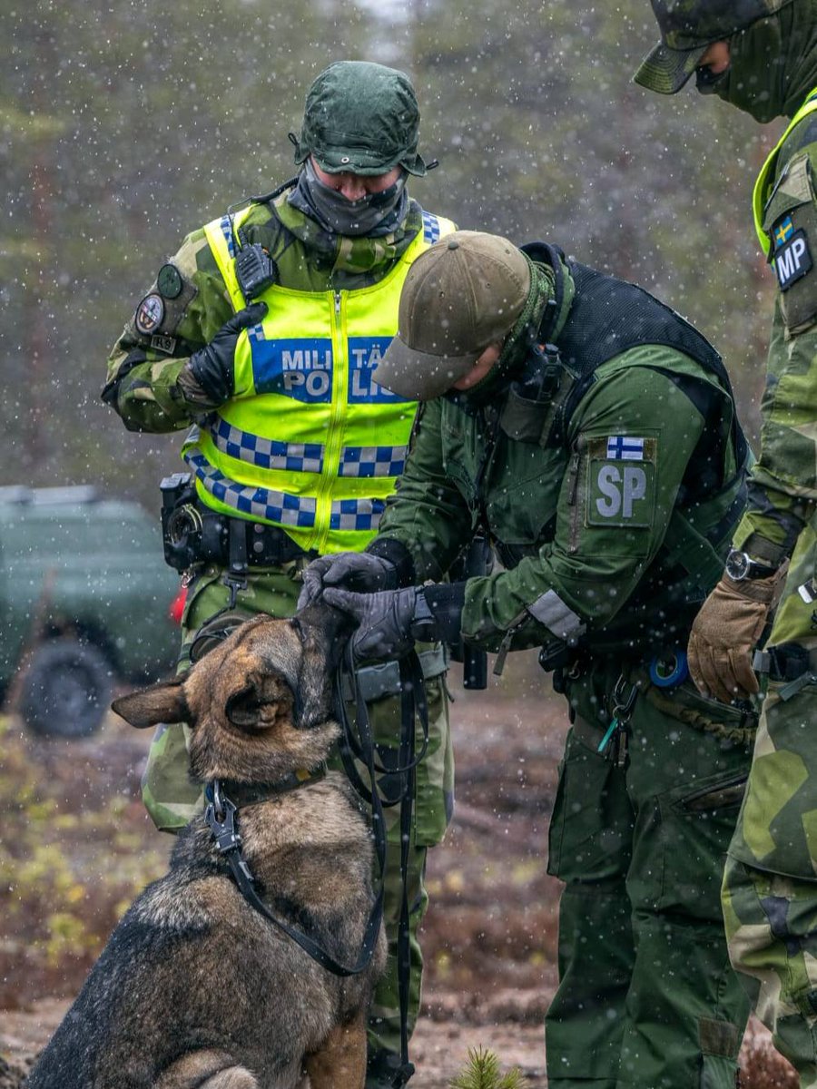 JaakariPR's tweet image. Sotakoira Loki yhdessä ohjaajansa ylikersantti Väänäsen kanssa pääsivät harjoittelemaan yhteistyötä ruotsalaisten kollegoiden kanssa toukokuussa Northern Strike 25 ja Northern Star 25 -harjoituksissa.
#jääkäriprikaati #maavoimat #K9 #sotakoiraloki #PohjoinenPitää