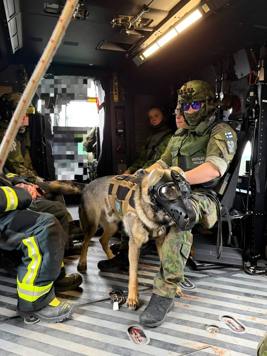 JaakariPR's tweet image. Sotakoira Loki yhdessä ohjaajansa ylikersantti Väänäsen kanssa pääsivät harjoittelemaan yhteistyötä ruotsalaisten kollegoiden kanssa toukokuussa Northern Strike 25 ja Northern Star 25 -harjoituksissa.
#jääkäriprikaati #maavoimat #K9 #sotakoiraloki #PohjoinenPitää