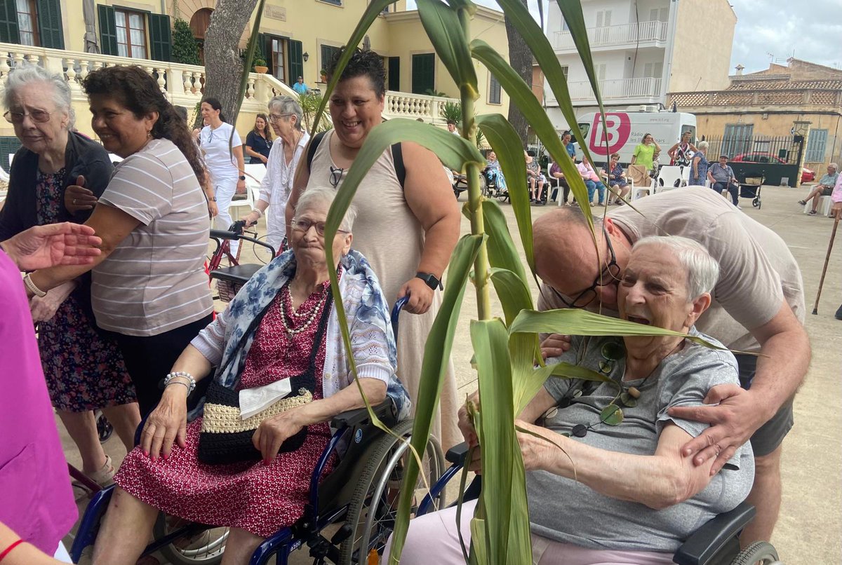imasmallorca's tweet image. ✨ A la Residència Huialfàs de #saPobla, cuidar també és mantenir les tradicions vives.

🎉 Celebram #SantJaume amb una cursa de joies, gelat per tothom i molta complicitat entre residents, famílies i professionals.
