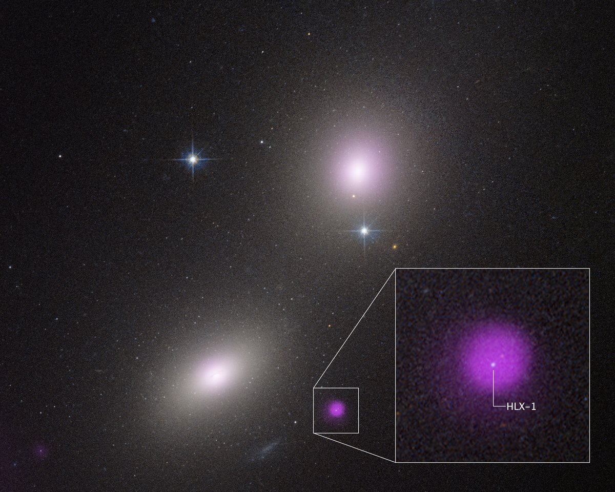 SpaceTelescope's tweet image. The Hubble and Chandra space observatories have uncovered an elusive type of black hole hidden in the outskirts of a galaxy. Weighing less that 1 million solar masses, it is a missing link in black hole evolution between small and supermassive black holes: bit.ly/3TNAEqw