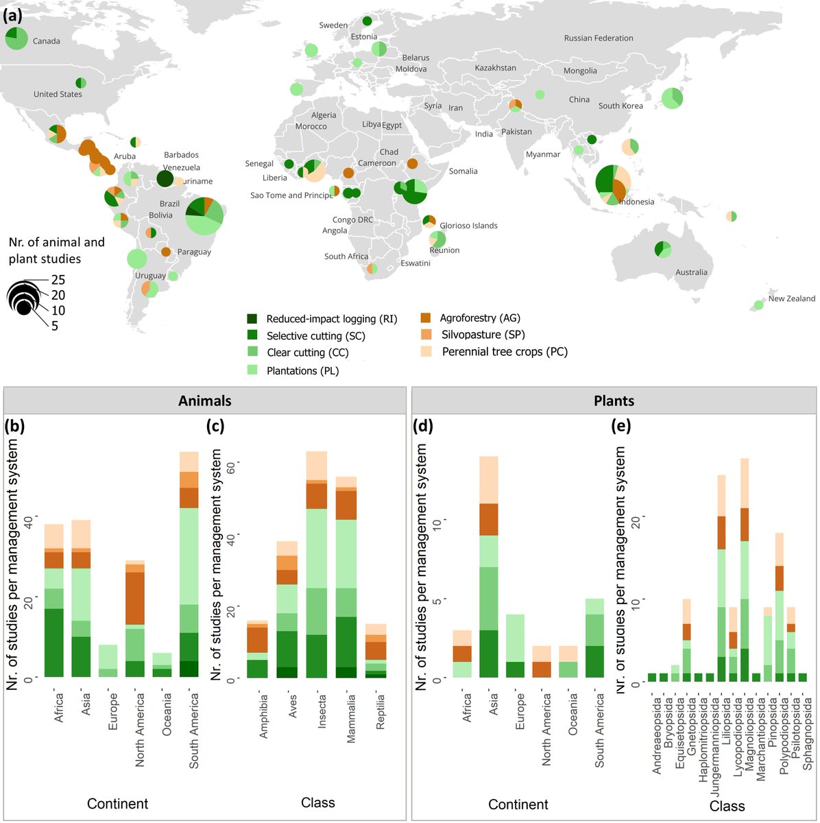 GlobalChangeBio's tweet image. A Global Assessment of Plant and Animal Community Responses to Forest Management Over Time 

🔗 buff.ly/0iv8nFw