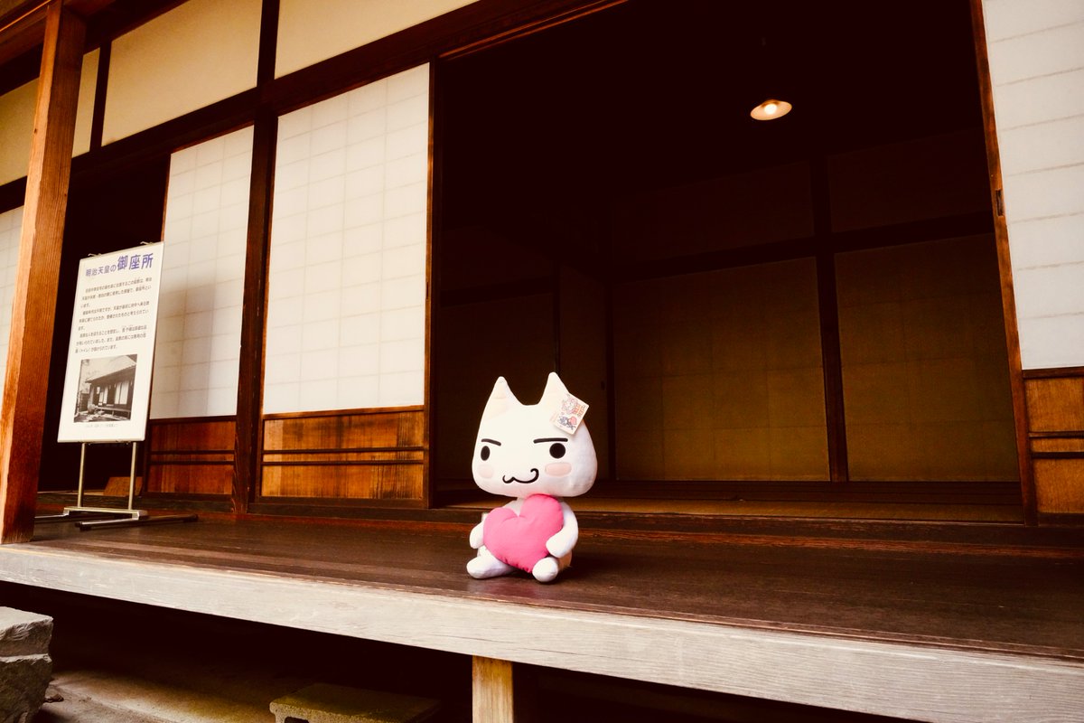 snTpet's tweet image. トロのとなり 空いてるよ
#どこでもいっしょ