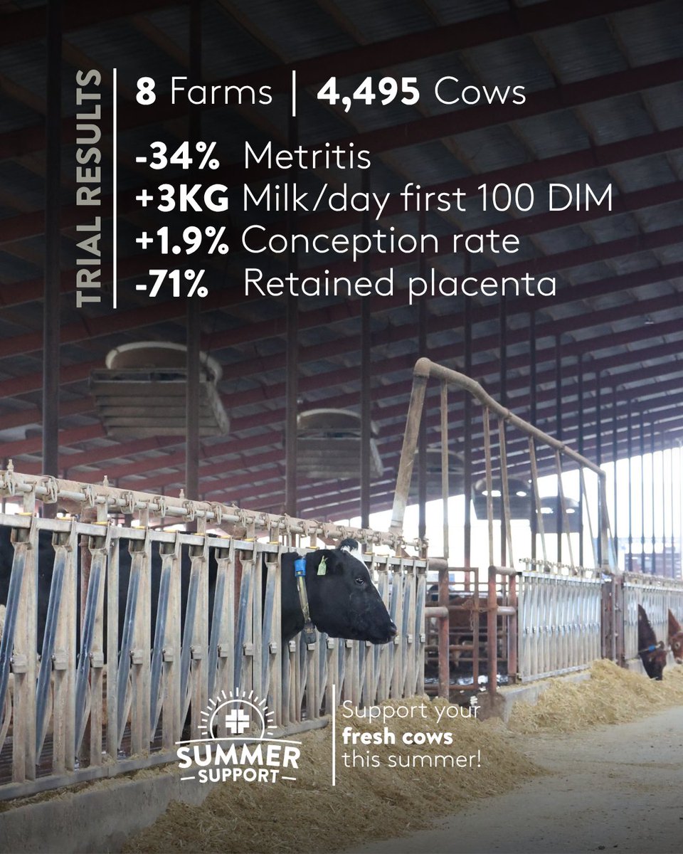 AHVint's tweet image. 𝐍𝐞𝐰 𝐌𝐞𝐭𝐚-𝐀𝐧𝐚𝐥𝐲𝐬𝐢𝐬 𝐑𝐞𝐯𝐞𝐚𝐥𝐬 𝐌𝐚𝐣𝐨𝐫 𝐆𝐚𝐢𝐧𝐬 𝐢𝐧 𝐃𝐚𝐢𝐫𝐲 𝐂𝐨𝐰 𝐇𝐞𝐚𝐥𝐭𝐡 &amp;amp; 𝐅𝐞𝐫𝐭𝐢𝐥𝐢𝐭𝐲!

AHV’s proactive Uterine Health &amp;amp; Fertility protocol is a game-changer for postpartum cow care.

ahvint.com/fresh-cow/

#AHV #SummerSupport