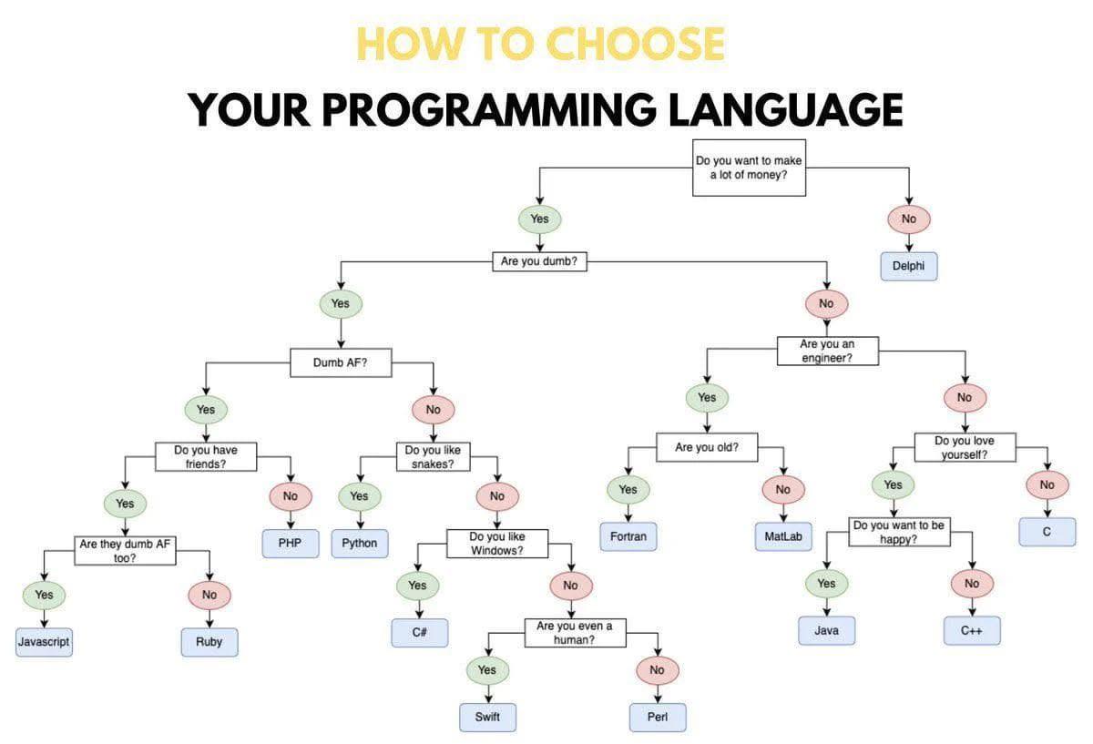 PR0GRAMMERHUM0R's tweet image. howToChoose redd.it/1m7slpw