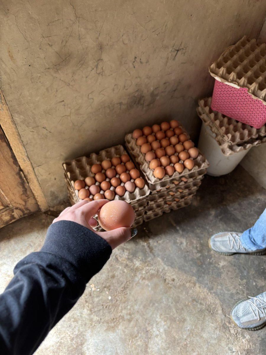 ゆもと (@yumoto_tokyo) on Twitter photo 